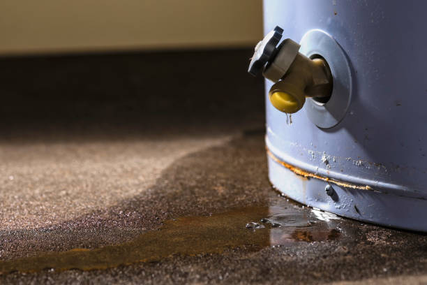 Best Residential water damage restoration  in Renville, MN
