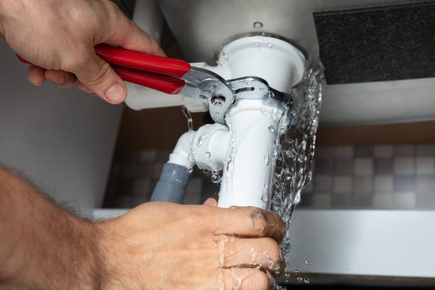 Best Basement water damage restoration  in Renville, MN