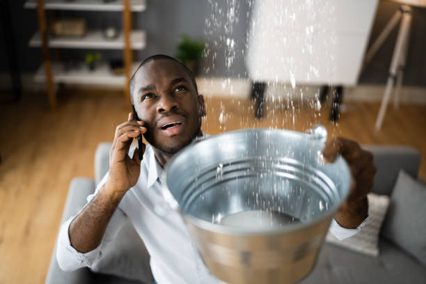 Best Local water damage restoration  in Renville, MN