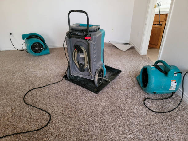 Reliable Renville, MN Water damage restoration Solutions