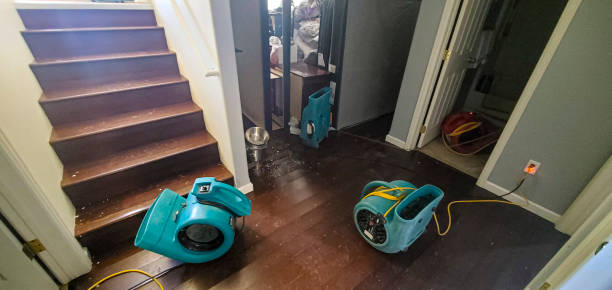 Best Water damage contractors near me  in Renville, MN