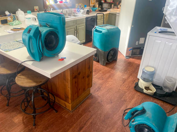 Best Commercial water damage restoration  in Renville, MN