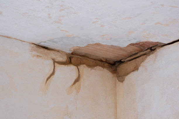 Best 24/7 water damage repair  in Renville, MN