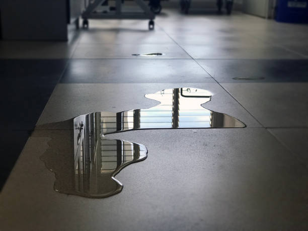 Best Water damage restoration near me  in Renville, MN