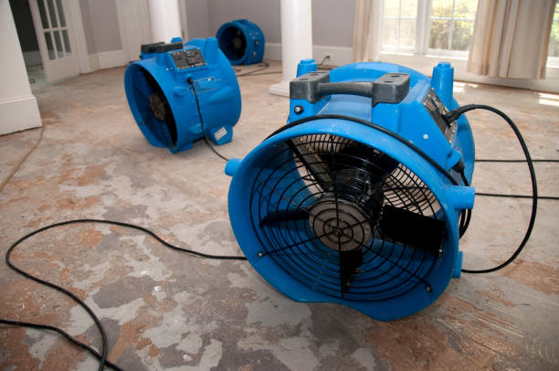 Best 24-hour water damage restoration  in Renville, MN
