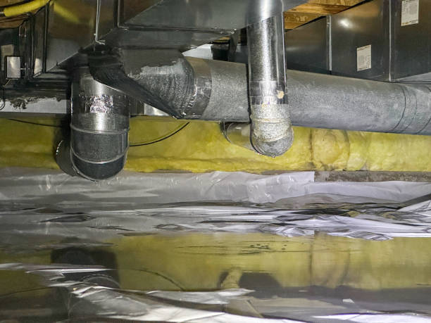 Best Water damage restoration process  in Renville, MN