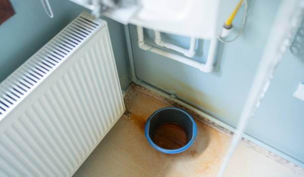 Best Water damage cleanup near me  in Renville, MN