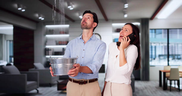 Best Sewage cleanup and water damage restoration  in Renville, MN