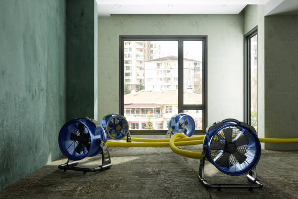 Best 24/7 water damage repair  in Renville, MN